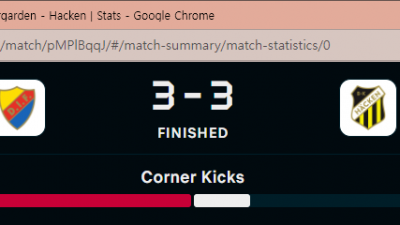 재미있는 스웨덴 축구 경기